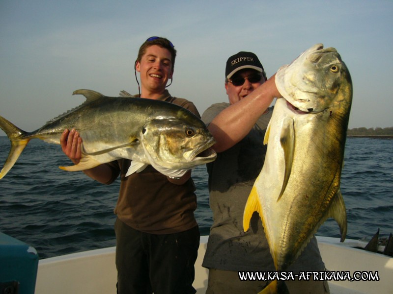 Photos Bijagos Island, Guinea Bissau : Special Jacks - Crevalle jack