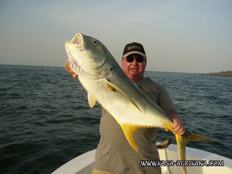 Photos Bijagos Island, Guinea Bissau : Special Jacks - Crevalle jack