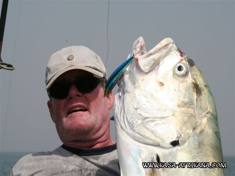 Photos Bijagos Island, Guinea Bissau : Special Jacks - Local crevalle