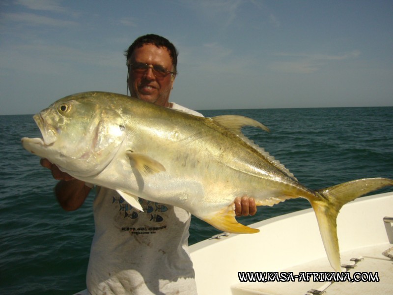 Photos Bijagos Island, Guinea Bissau : Special Jacks - Richard Pay