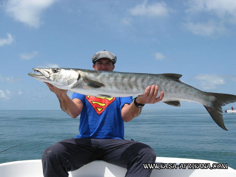 Photos Bijagos Island, Guinea Bissau : Our best catches - Barracuda