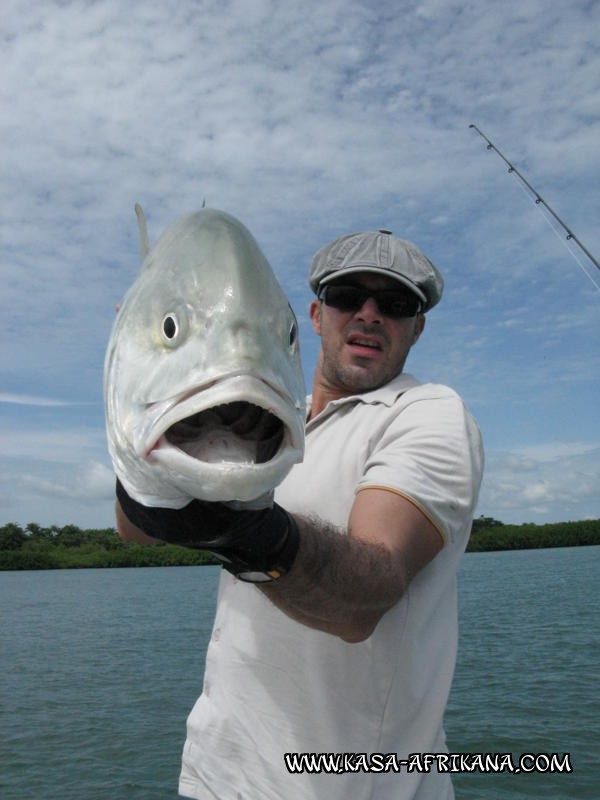 Photos Bijagos Island, Guinea Bissau : Our best catches - Jack