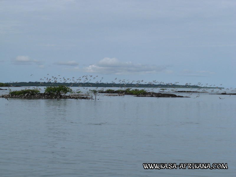 Photos Bijagos Island, Guinea Bissau : Landscape - Our landscape