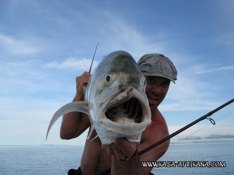 Photos Bijagos Island, Guinea Bissau : Special Jacks - Jack