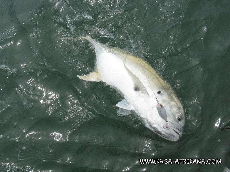 Photos Bijagos Island, Guinea Bissau : Special Jacks - Jack