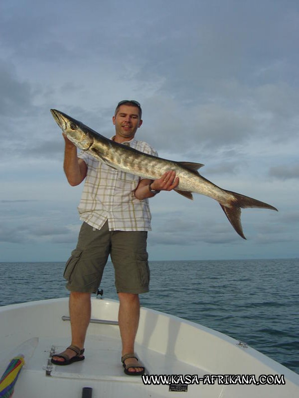 Photos Bijagos Island, Guinea Bissau : Our best catches - Barracuda