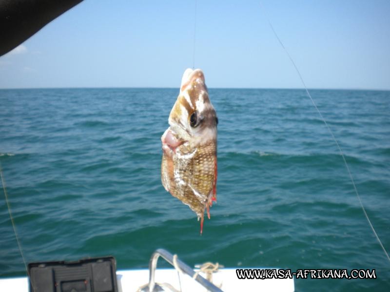 Photos Bijagos Island, Guinea Bissau : Picturesque - 