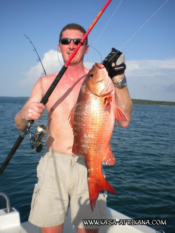 Photos Bijagos Island, Guinea Bissau : Our best catches - African red snapper