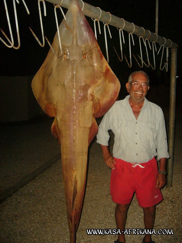 Photos Bijagos Island, Guinea Bissau : Our best catches - Philippe's guitarfish