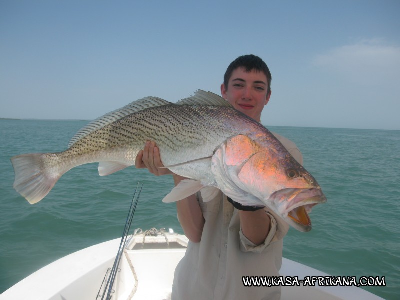 Photos Bijagos Island, Guinea Bissau : Our best catches - 