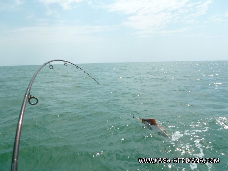 Photos Bijagos Island, Guinea Bissau : In action - Action !