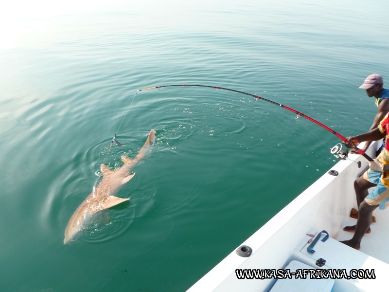 Photos Bijagos Island, Guinea Bissau : In action - 