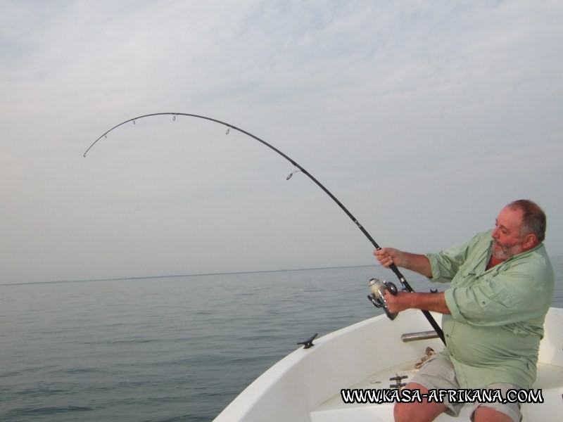 Photos Bijagos Island, Guinea Bissau : In action - 