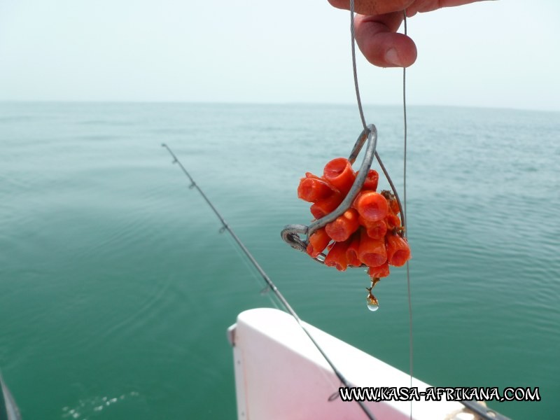 Photos Bijagos Island, Guinea Bissau : Picturesque - 