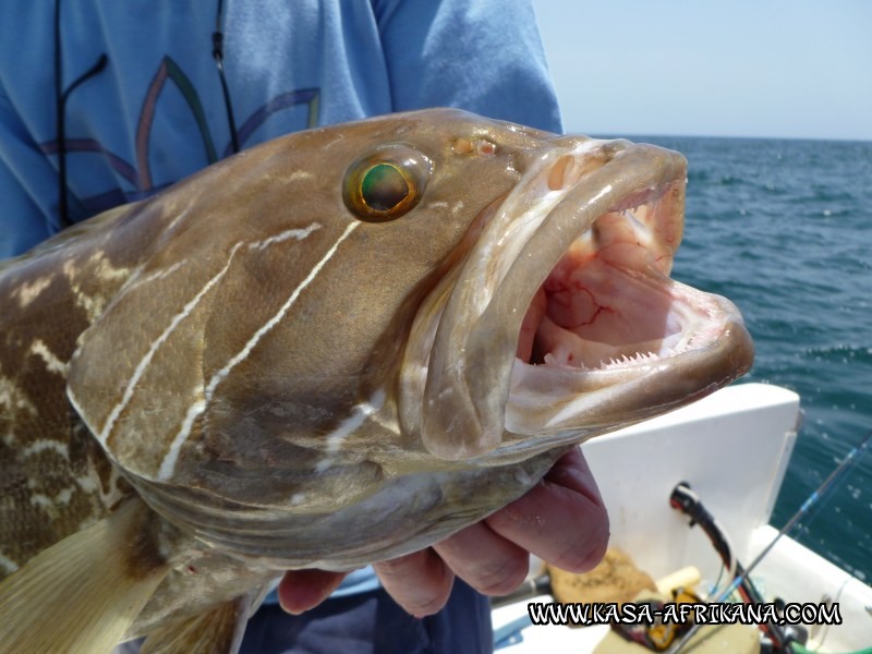 Photos Bijagos Island, Guinea Bissau : Our best catches - 