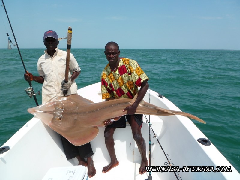 Photos Bijagos Island, Guinea Bissau : Our best catches - 