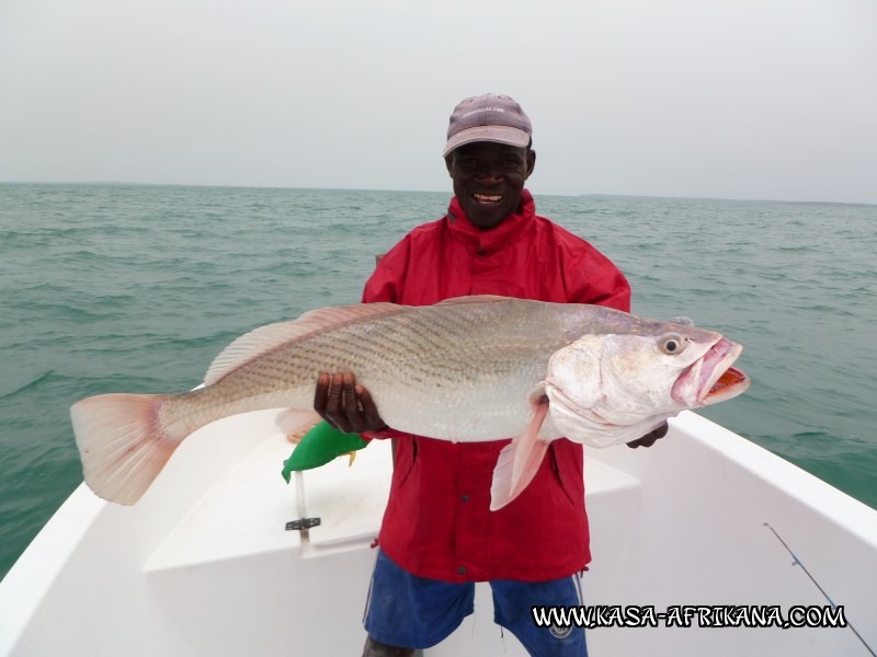 Photos Bijagos Island, Guinea Bissau : Our best catches - Big Umbrine