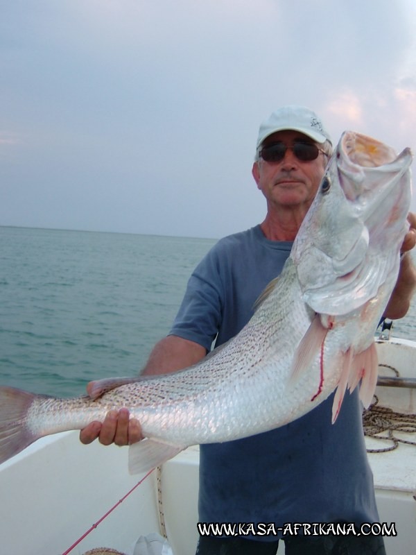 Photos Bijagos Island, Guinea Bissau : Our best catches - Umbrine