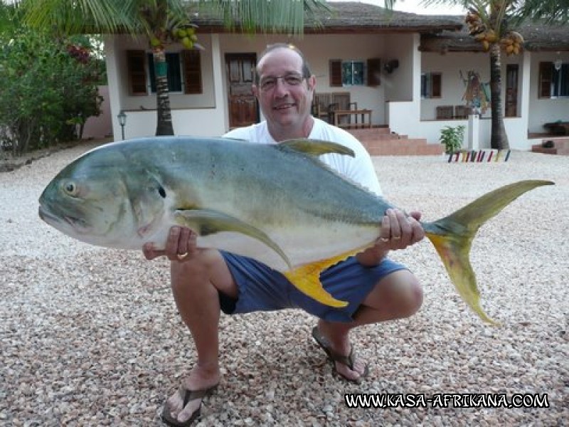 Photos de l'archipel Bijagos Guine Bissau : Spcial Carangues - Carangue 20kg