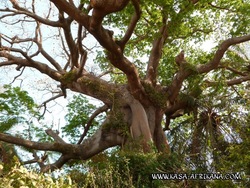 Photos de l'archipel Bijagos Guine Bissau : Paysages - Paysages des Bijagos