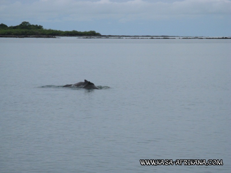 Photos de l'archipel Bijagos Guine Bissau : Paysages - Paysages des Bijagos