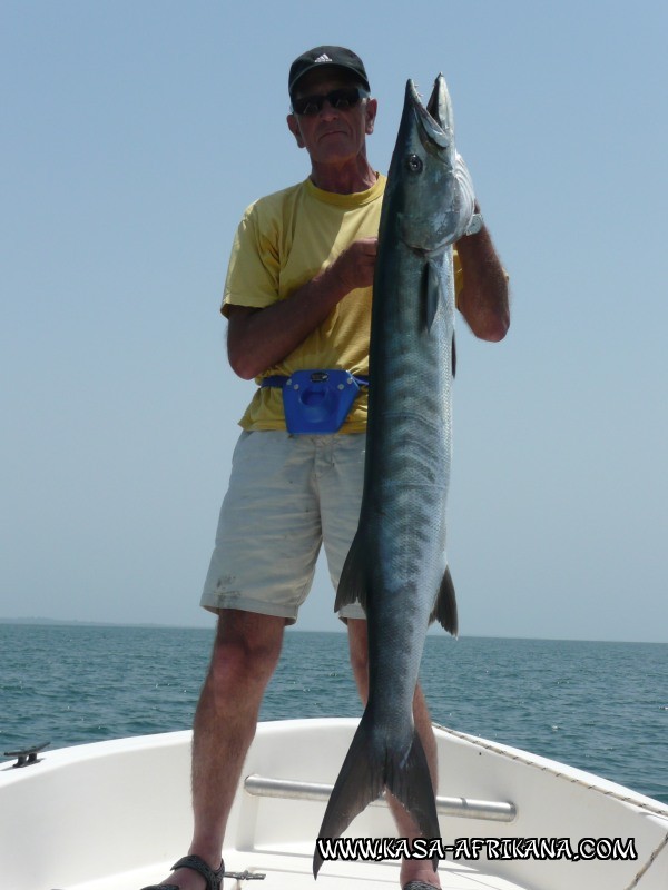 Photos de l'archipel Bijagos Guine Bissau : Nos plus belles prises - Beau barracuda