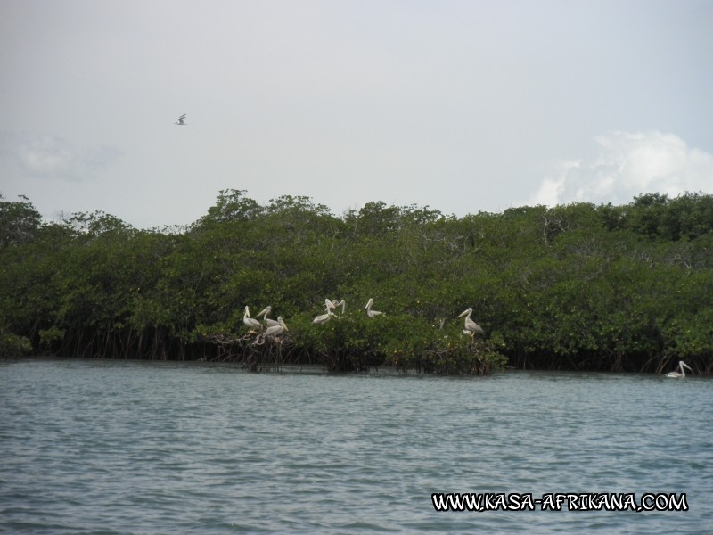 Photos de l'archipel Bijagos Guine Bissau : Paysages - Paysages des Bijagos