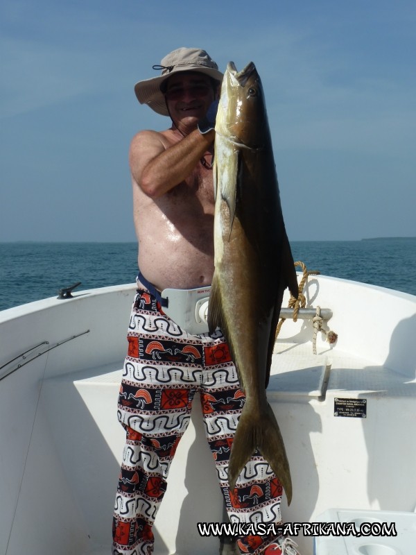 Photos de l'archipel Bijagos Guine Bissau : Nos plus belles prises - Cobia de Raymond