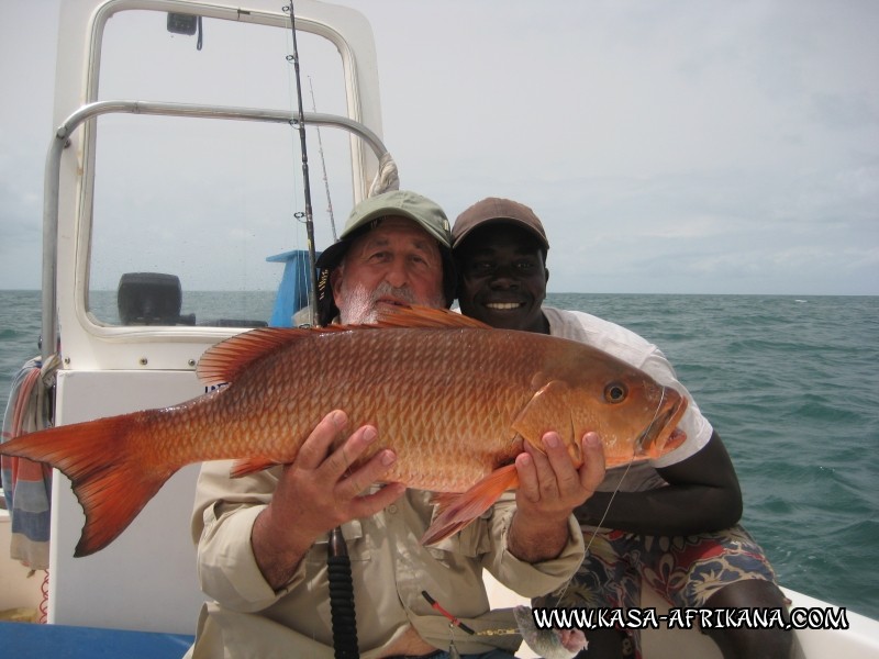 Photos Bijagos Island, Guinea Bissau : Our best catches - 