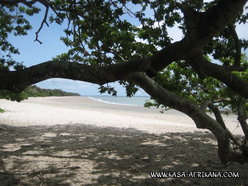 Photos Bijagos Island, Guinea Bissau : Landscape - 