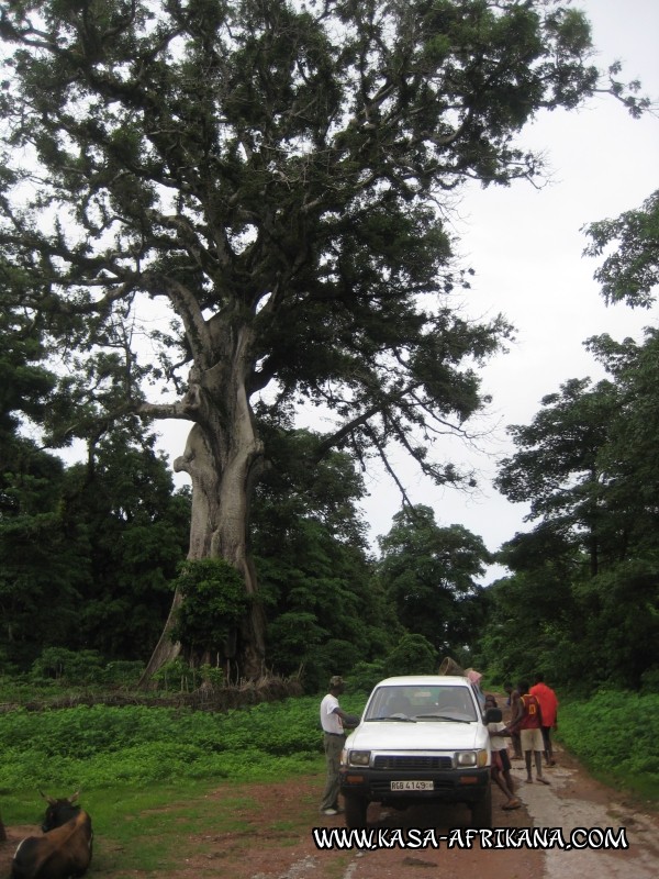 Photos de l'archipel Bijagos Guine Bissau : Paysages - Paysages des Bijagos