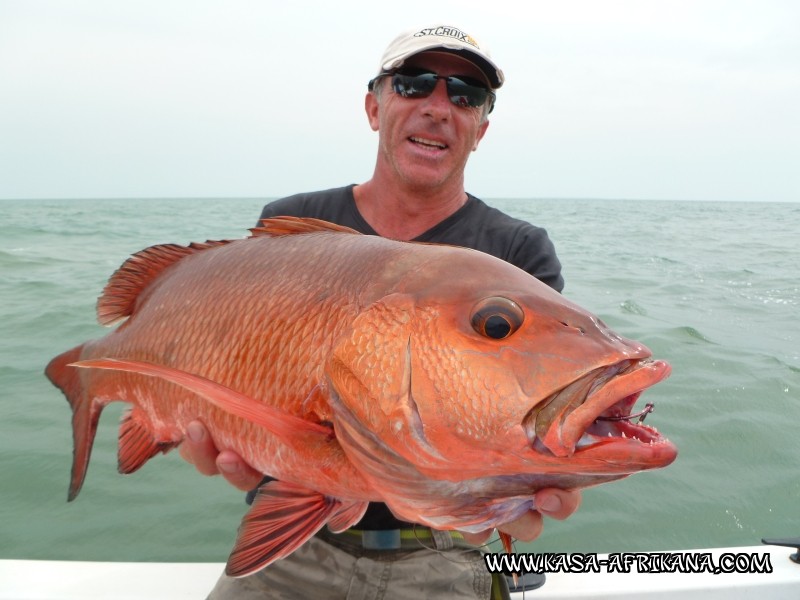 Photos Bijagos Island, Guinea Bissau : Our best catches - 