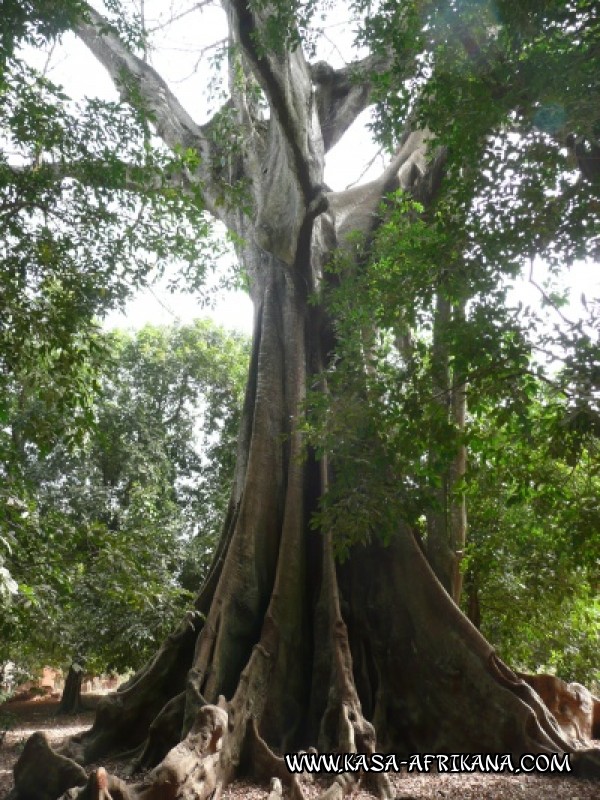 Photos de l'archipel Bijagos Guine Bissau : Paysages - Paysages des Bijagos