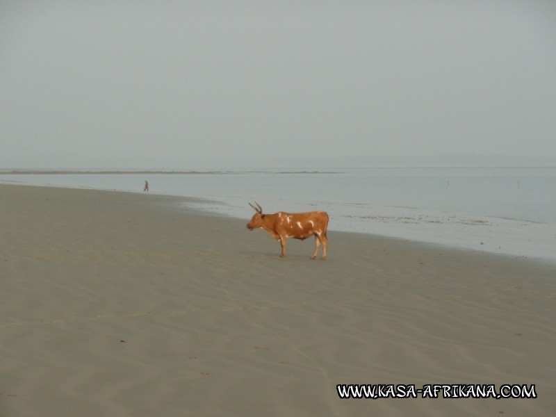 Photos Bijagos Island, Guinea Bissau : Landscape - 