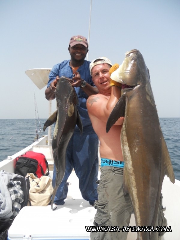 Photos de l'archipel Bijagos Guine Bissau : Nos plus belles prises - Cobia de Jo