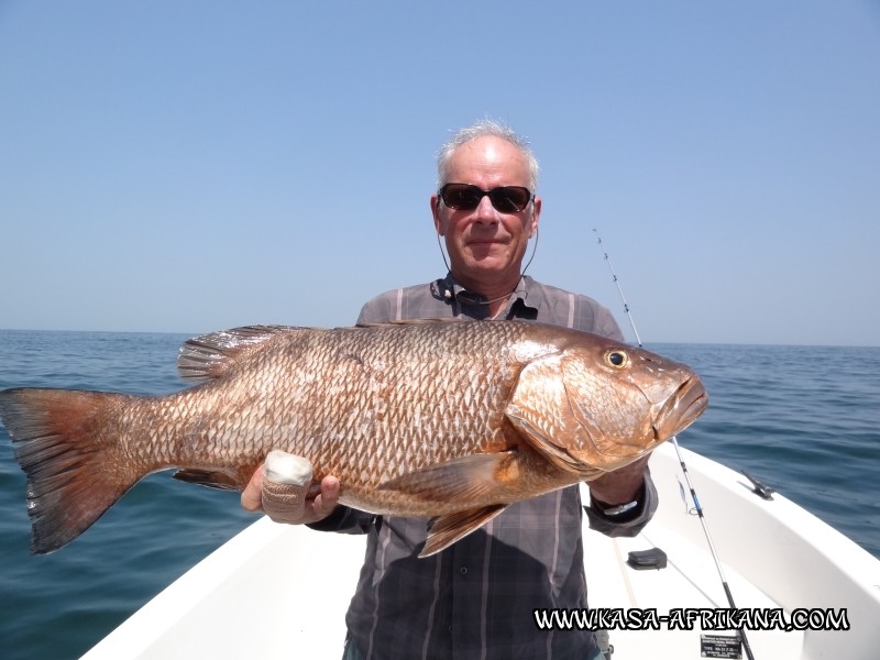 Photos Bijagos Island, Guinea Bissau : Our best catches - 