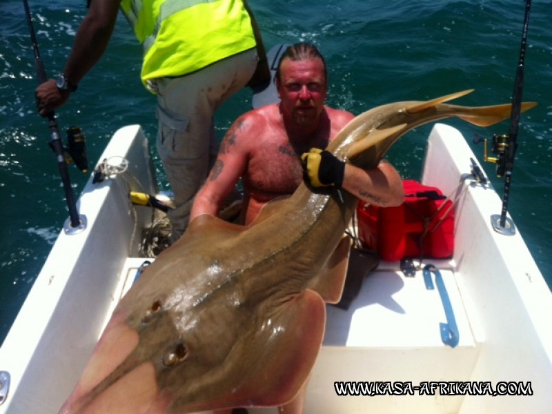 Photos Bijagos Island, Guinea Bissau : Our best catches - 