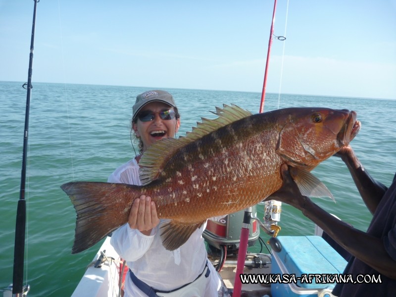 Photos Bijagos Island, Guinea Bissau : Our best catches - 