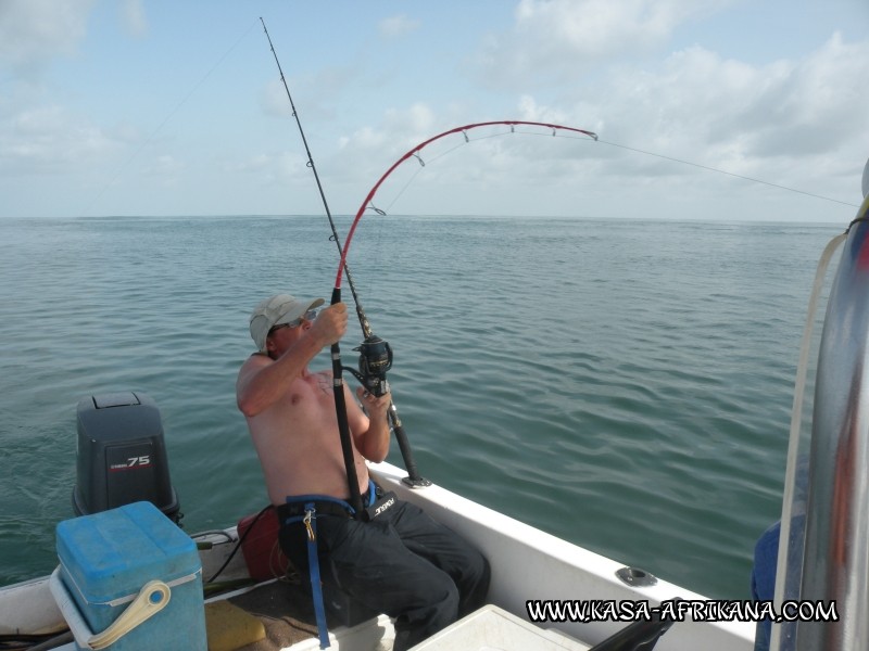 Photos Bijagos Island, Guinea Bissau : In action - 