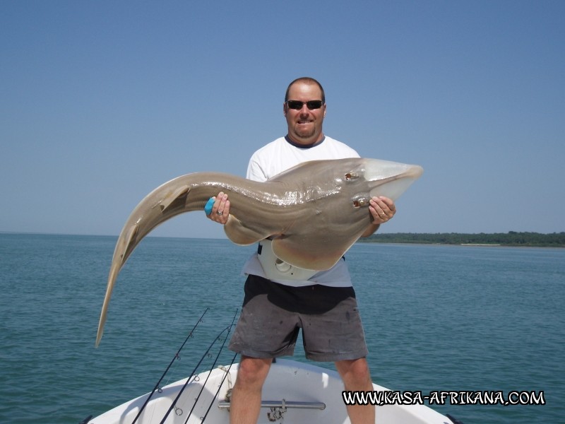 Photos Bijagos Island, Guinea Bissau : Our best catches - 