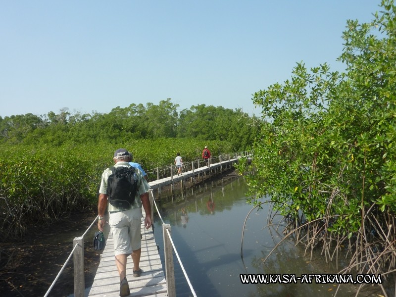 Photos Bijagos Island, Guinea Bissau : Landscape - 