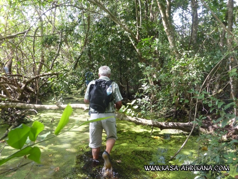 Photos de l'archipel Bijagos Guine Bissau : Paysages - Paysages des Bijagos