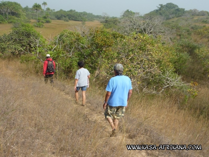 Photos Bijagos Island, Guinea Bissau : Landscape - 