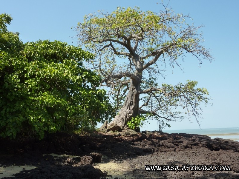 Photos Bijagos Island, Guinea Bissau : Landscape - 