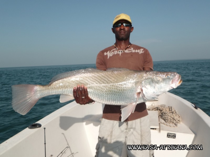 Photos Bijagos Island, Guinea Bissau : Our best catches - 