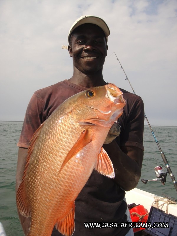 Photos de l'archipel Bijagos Guine Bissau : Nos plus belles prises - Poisson bonheur