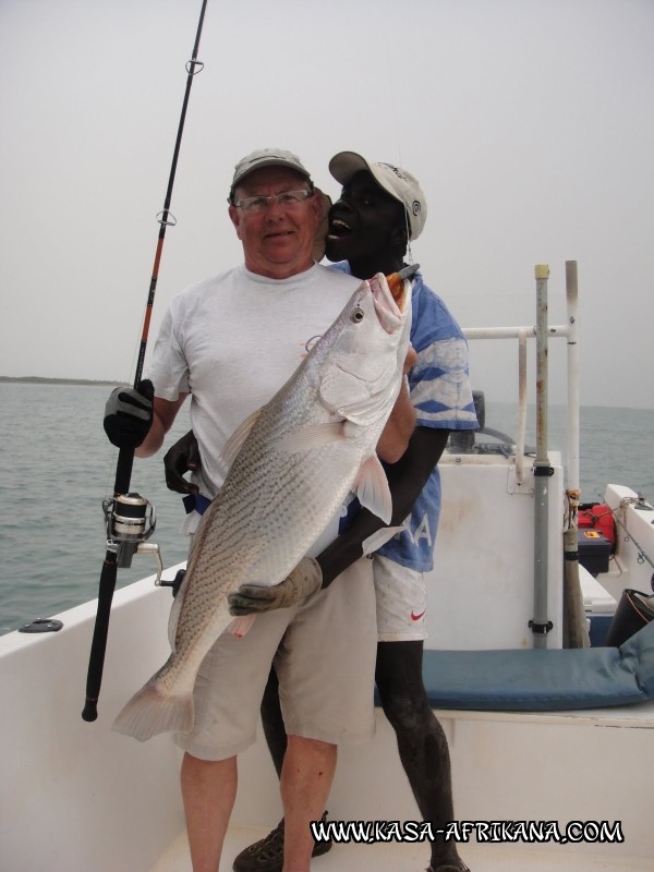 Photos Bijagos Island, Guinea Bissau : Our best catches - 