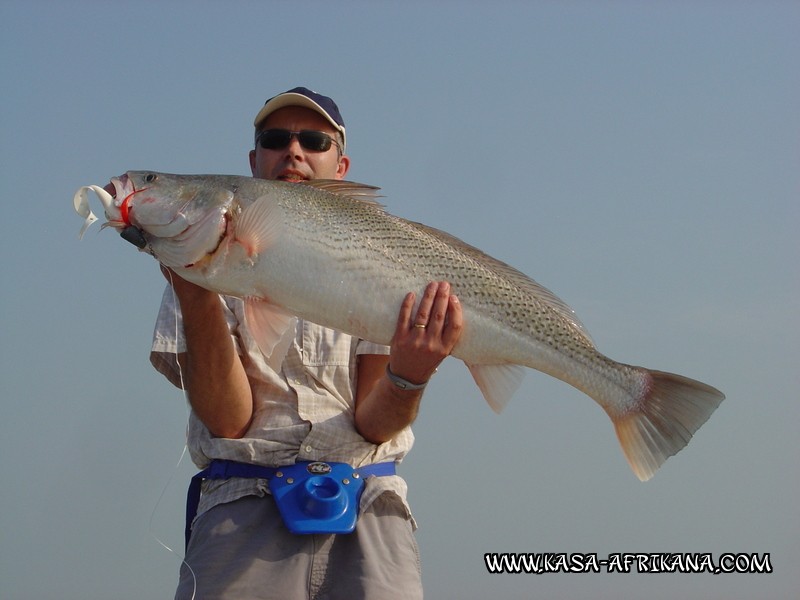 Photos Bijagos Island, Guinea Bissau : Our best catches - 