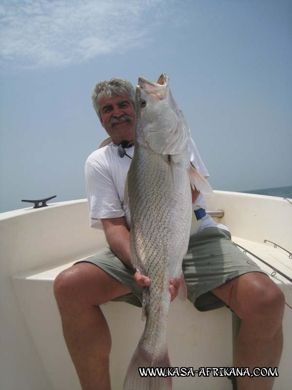 Photos Bijagos Island, Guinea Bissau : Our best catches - 