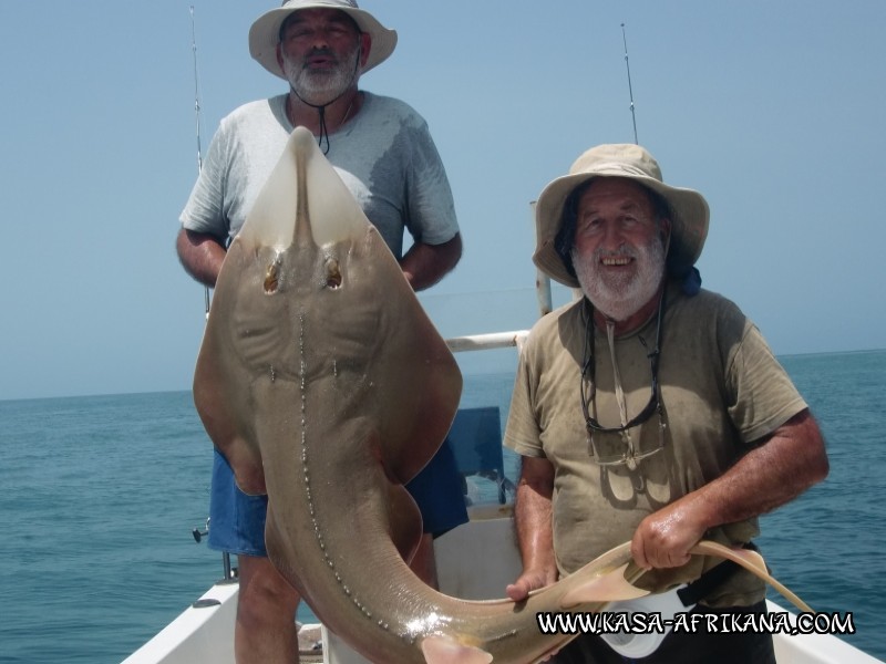 Photos Bijagos Island, Guinea Bissau : Our best catches - 